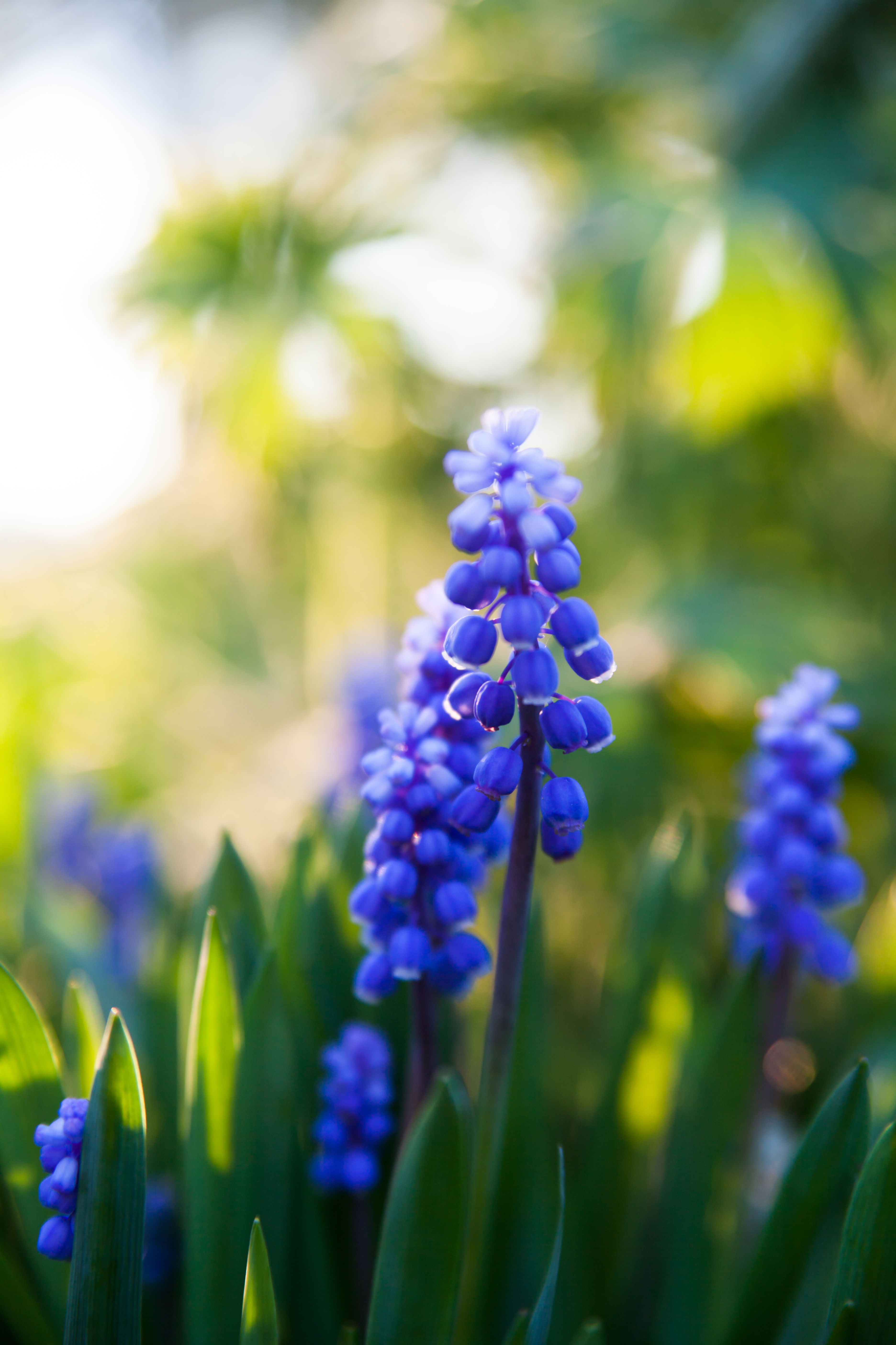 Foto av Katarina Norström